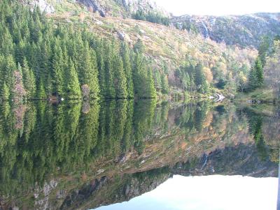 Tilbake til Sandviksfjellet