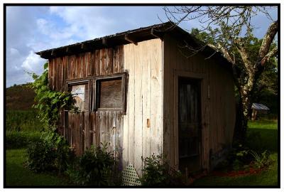 Tool Shed