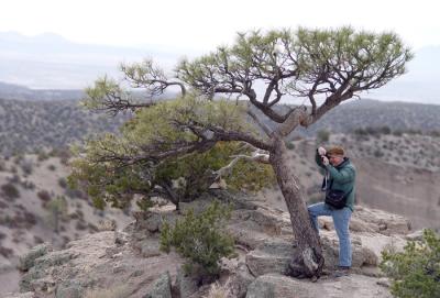 tent rocks