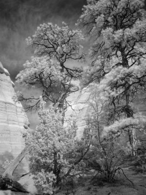 tent rocks