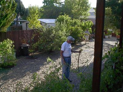 u14/wefiddle/medium/4340770.Reno2002049.jpg