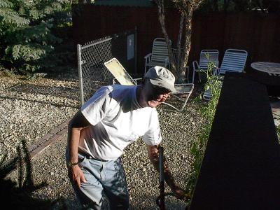 u14/wefiddle/medium/4340771.Reno2002050.jpg