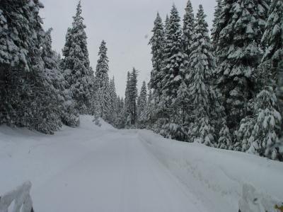 headed for wishon