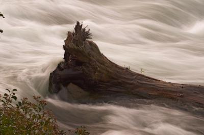 Niagara Log