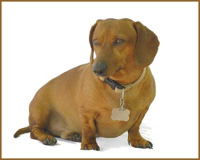 Big Jake