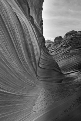Wave-25-BWupload.jpg