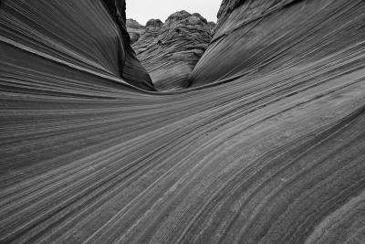 wave8-BW-upload.jpg