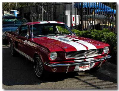 1966 Shelby GT 350 #743 one of 2380 - Click on photo for more info