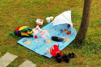 Picnic