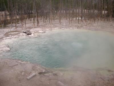 Norris Basin