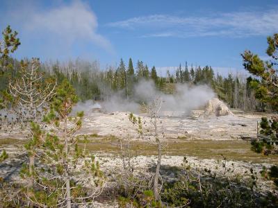 Old Faithful and Basin
