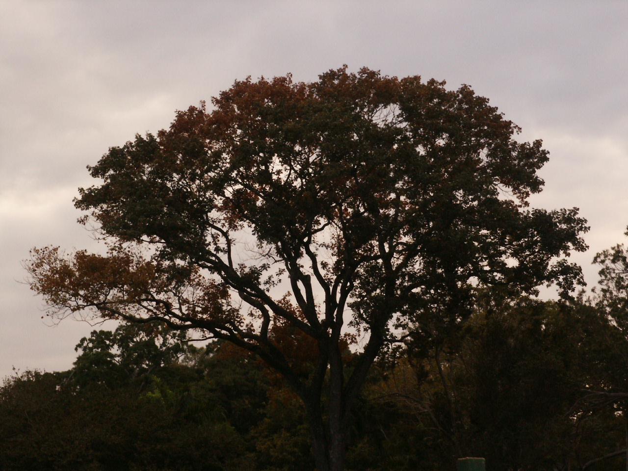 PICT1721.JPG