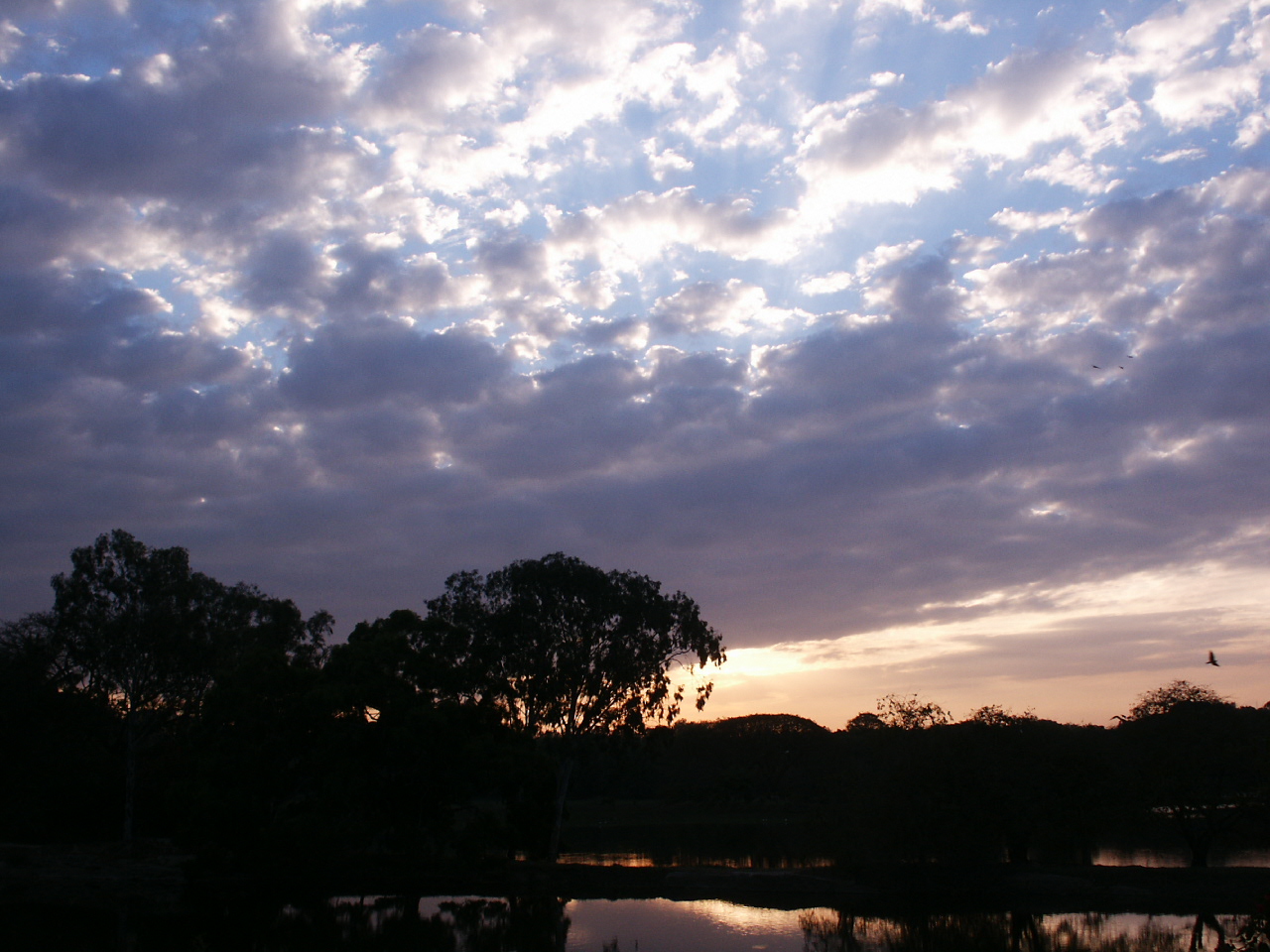 PICT1751.JPG