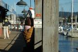 Fishermans Wharf