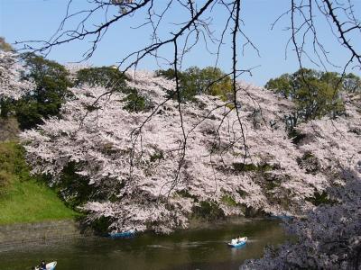 chidorigafuchi