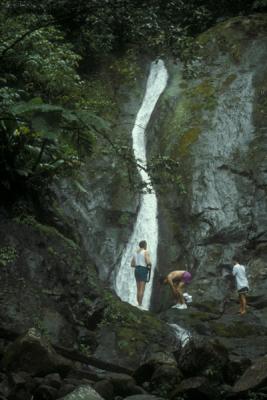 Chutes du Carbet (Carbet Falls)