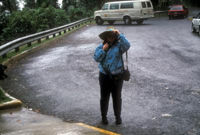 El Yunque Rain Forest