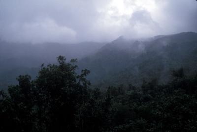 El Yunque Rain Forest