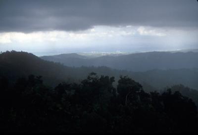 El Yunque Rain Forest