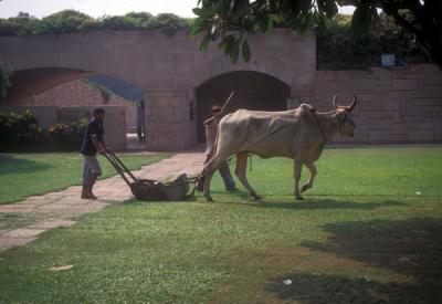 An Indian Lawn Mower