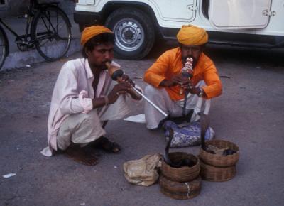 Snake Charmers