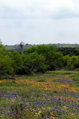Texas Prairie