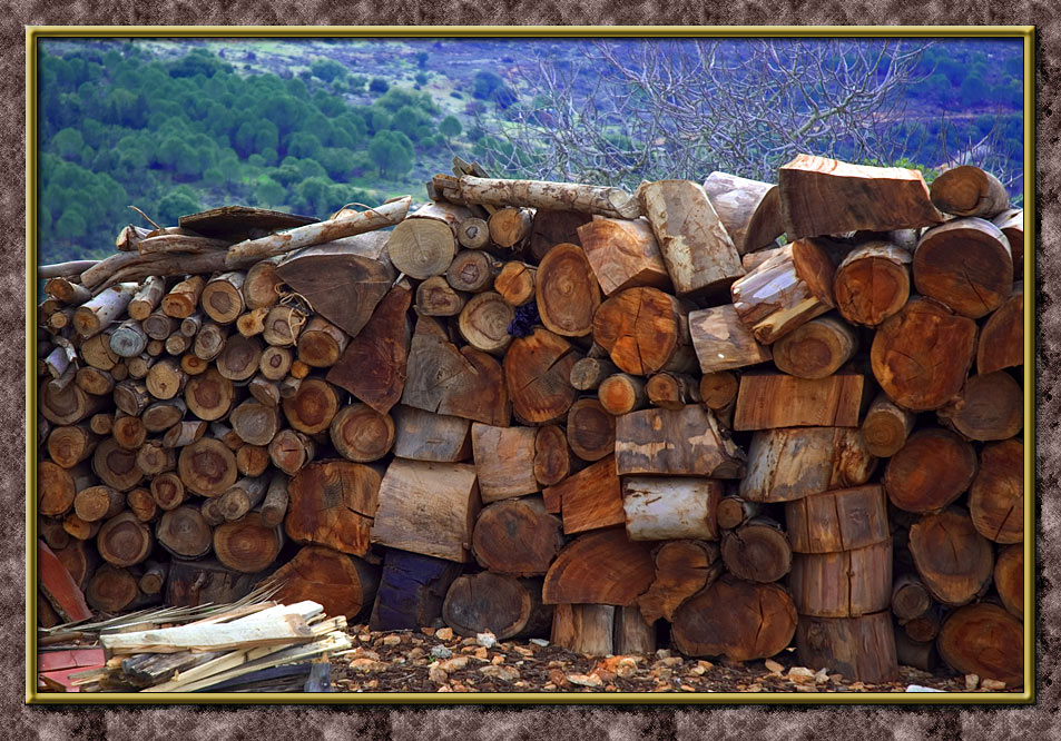 Firewood III