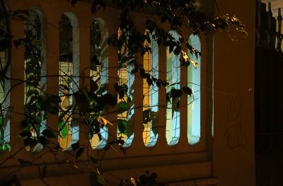 u15/adalberto_tiburzi/medium/38850333.IMG_5969.jpg