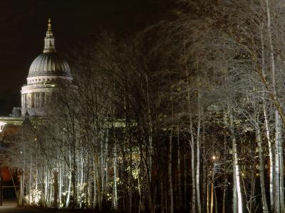 st pauls with birches2