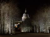 st pauls with birches1