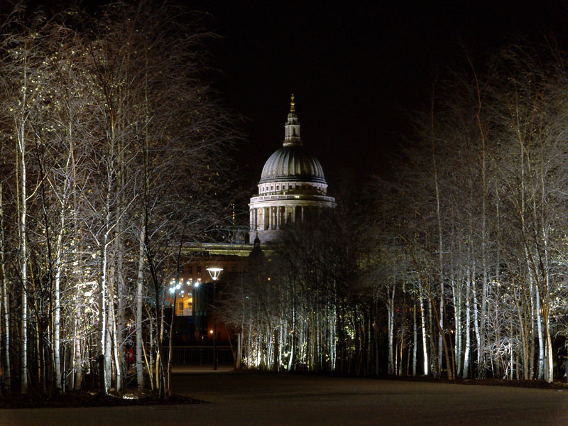 st pauls with birches1