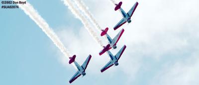 AeroShell Aerobatic Team T-6s aviation air show stock photo