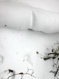.5.NW29Dec04 unknown 01.jpg