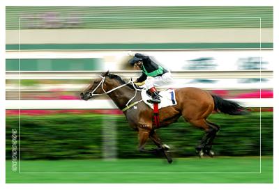 Horse Racing in Hong Kong