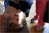 IMG_9633w.jpg