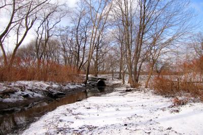 u15/anayv/medium/38923752.eWinterScenes20051s70.jpg