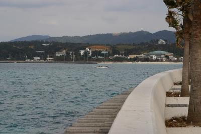 CRW_5613C.jpg