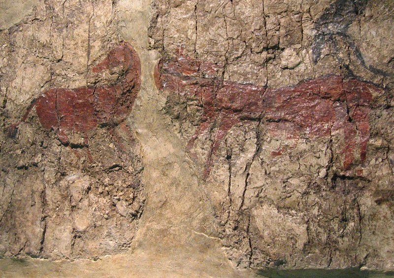 Neolithic wall paintings.   I especially liked the horse on the left.