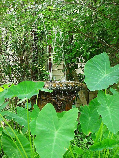 Fountain.jpg