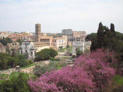Gardens with Colosseum