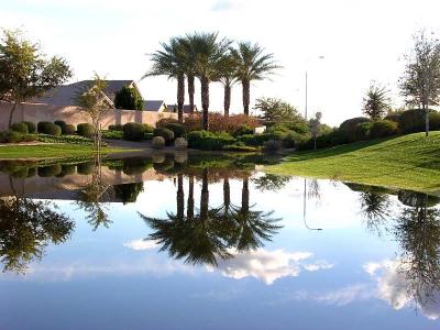 Reflections