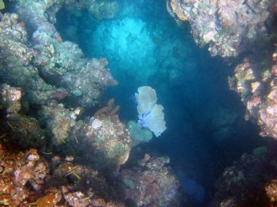 IMG_0149a.jpg