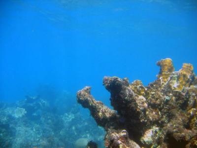 IMG_0153a.jpg