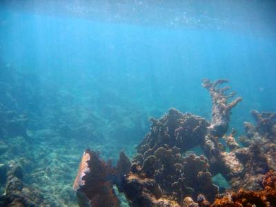IMG_0155a.jpg