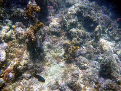 IMG_0156a.jpg