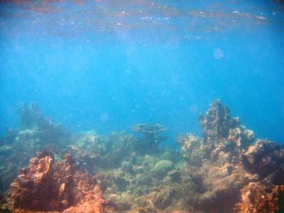 IMG_0157a.jpg