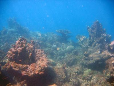 IMG_0158a.jpg