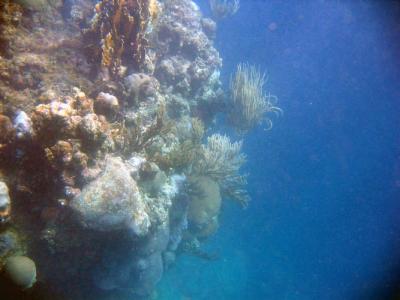 IMG_0161a.jpg