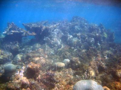 IMG_0163a.jpg