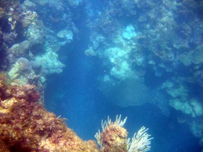 IMG_0169a.jpg